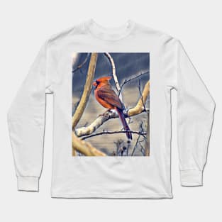 Northern Cardinal Long Sleeve T-Shirt